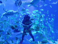 -太平洋海底世界