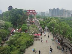 -黄鹤楼公园(黄鹤楼)