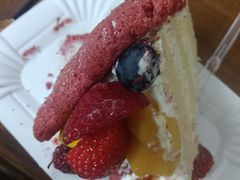 -倾城密码(大唐店)