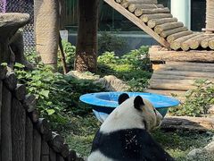 -南昌动物园