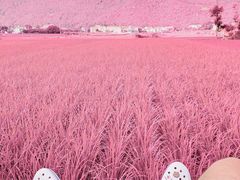-万峰林风景区