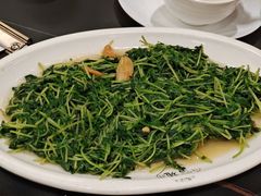 -吴记富苑(朝阳店)