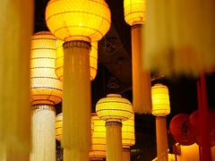 -叶叶菩提(太原别墅店)