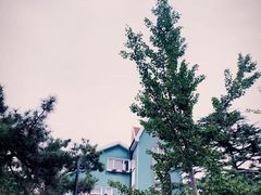 -八大关景区