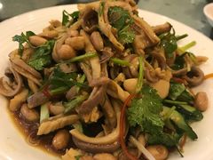 鲜沙姜捞猪肚-美极鲜食坊(宝安南路店)
