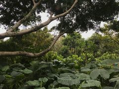 -鸿山公园