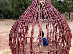 -北京西山国家森林公园