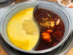 -青瓷火锅料理(西单大悦城店)