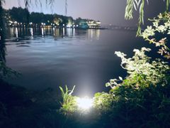 -西湖游船