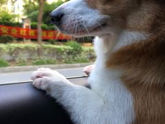 -美兰湖景区