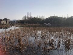 -西溪国家湿地公园