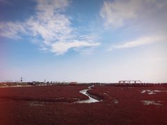 -红海滩国家风景廊道
