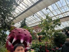 -沈阳植物园