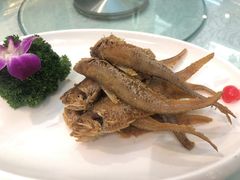 -金米箩大酒店(五角场店)