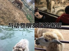 -杭州野生动物世界