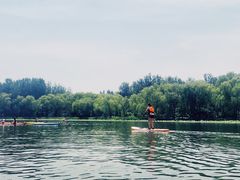 -WhaleSports户外水上运动俱乐部(朝阳公园店)
