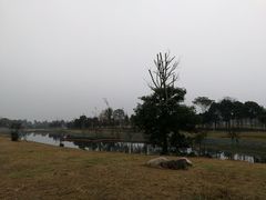 -两河城市森林公园