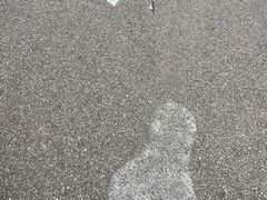 -盐城丹顶鹤湿地生态旅游区