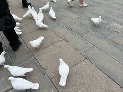 -天津妈祖文化园