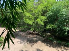 -长鹿旅游休博园