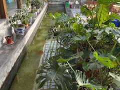 -燕北云山·农家菜·灶台鱼(密云溪翁庄店)
