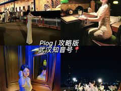 -武汉知音号