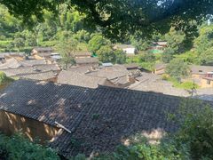 -杨家堂村