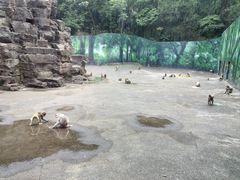 -宁波野生动物园