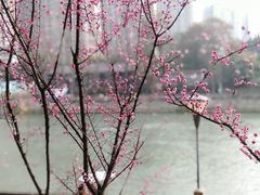 -望江楼公园