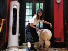 -猫色咖啡·猫咖