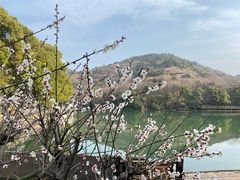 -白马涧龙池景区