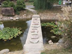 -南通洲际绿博园