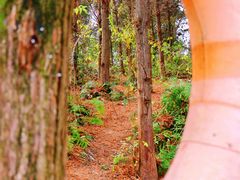 -白鹭湾湿地公园