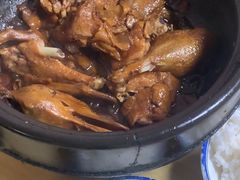 -百家春好德来姜母鸭