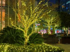 -上海静安香格里拉大酒店