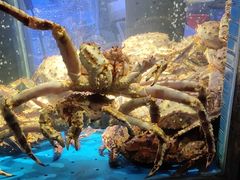 -徐记海鲜(曲江南湖店)