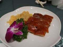 -北园酒家(小北路店)