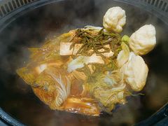 -桃源村铁锅炖鱼(体育馆道店)