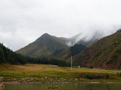 -冰沟林海