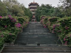 -长安公园