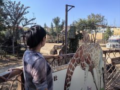 -郑州银基国际旅游度假区