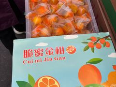 -西郊国际农产品交易中心