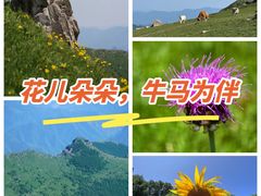 -灵山