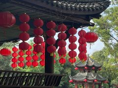 -房湖公园