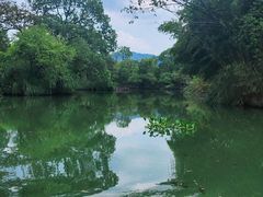 -西溪国家湿地公园