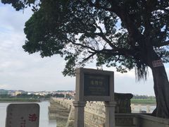 景点-洛阳桥