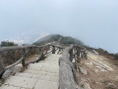 -梧桐山风景名胜区