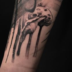 植物-白夜刺青·InkStudio