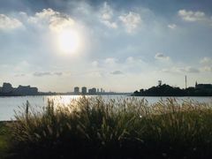 -九龙湖公园