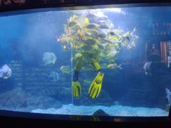 -烟台海昌鲸鲨海洋公园